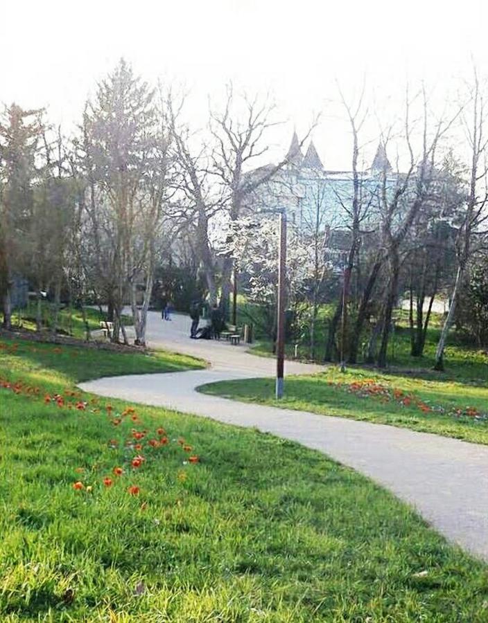 Cosy Appart - Balcon, Parking, Spacieux T2 - Proche Eurexpo Stade Saint-Priest  Zewnętrze zdjęcie